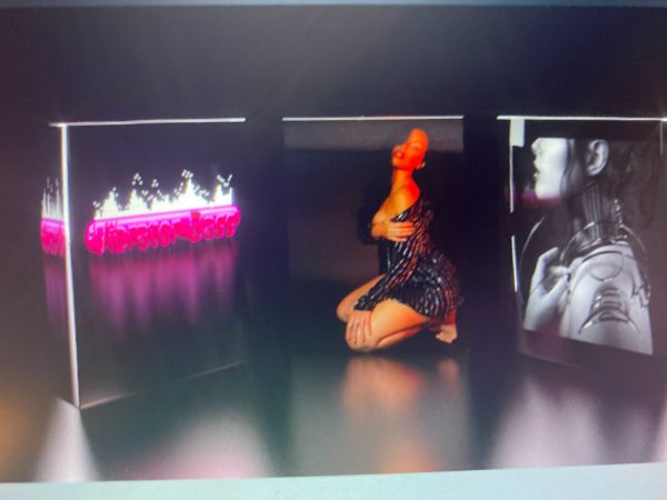 Raw Sample Pack - Image 3